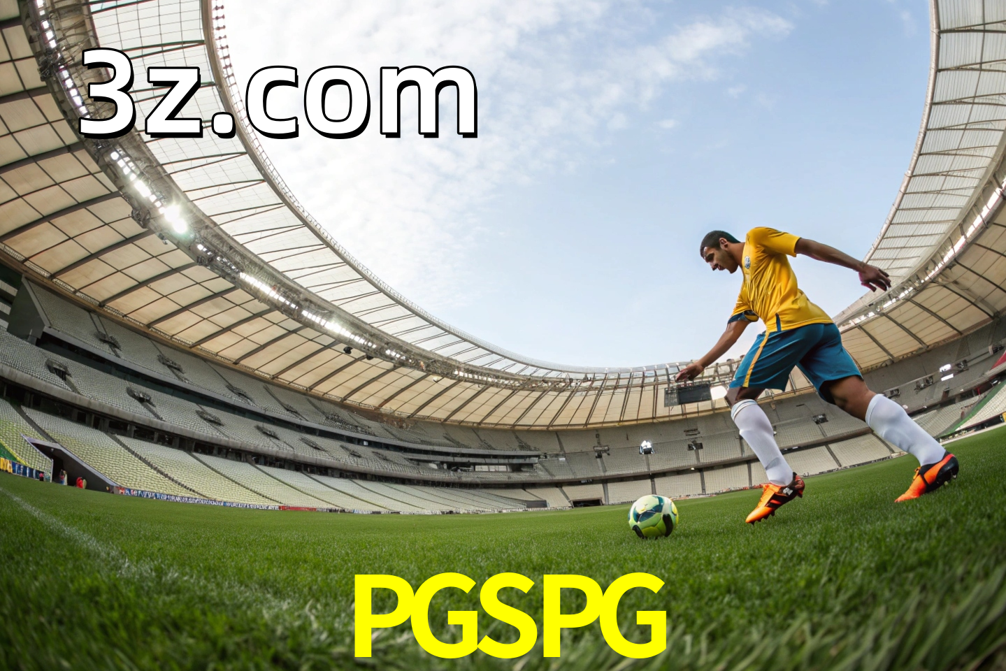 apostas esportivas